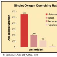 Астаксантин – сильнейший антиоксидант, помогающий сохранить здоровье и красоту на долгие годы Астаксантин лечебные рецепты