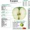Что происходит с организмом если съедать одно яблоко в день?
